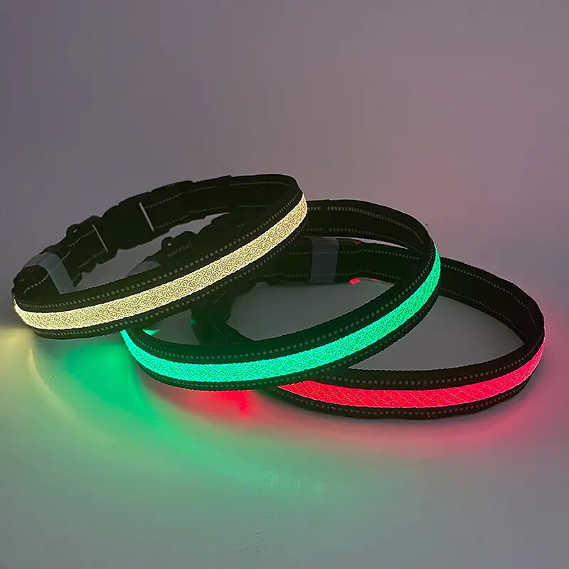 LED Light Up Collar