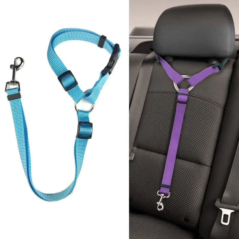 Dog Seatbelts