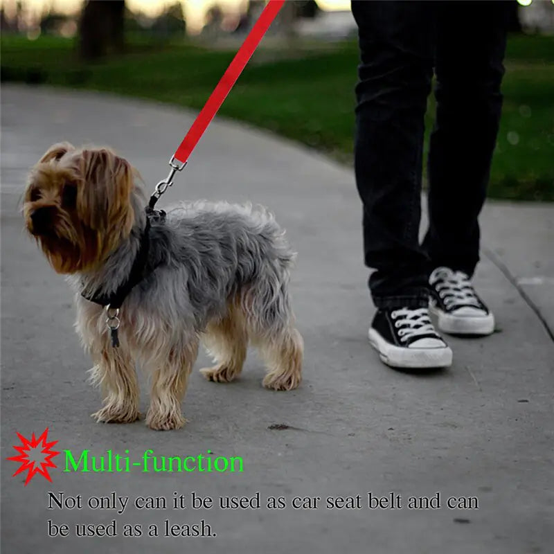 Dog Seatbelts