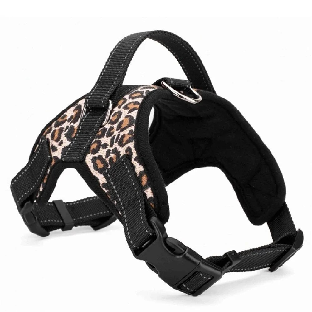 Adjustable Harness